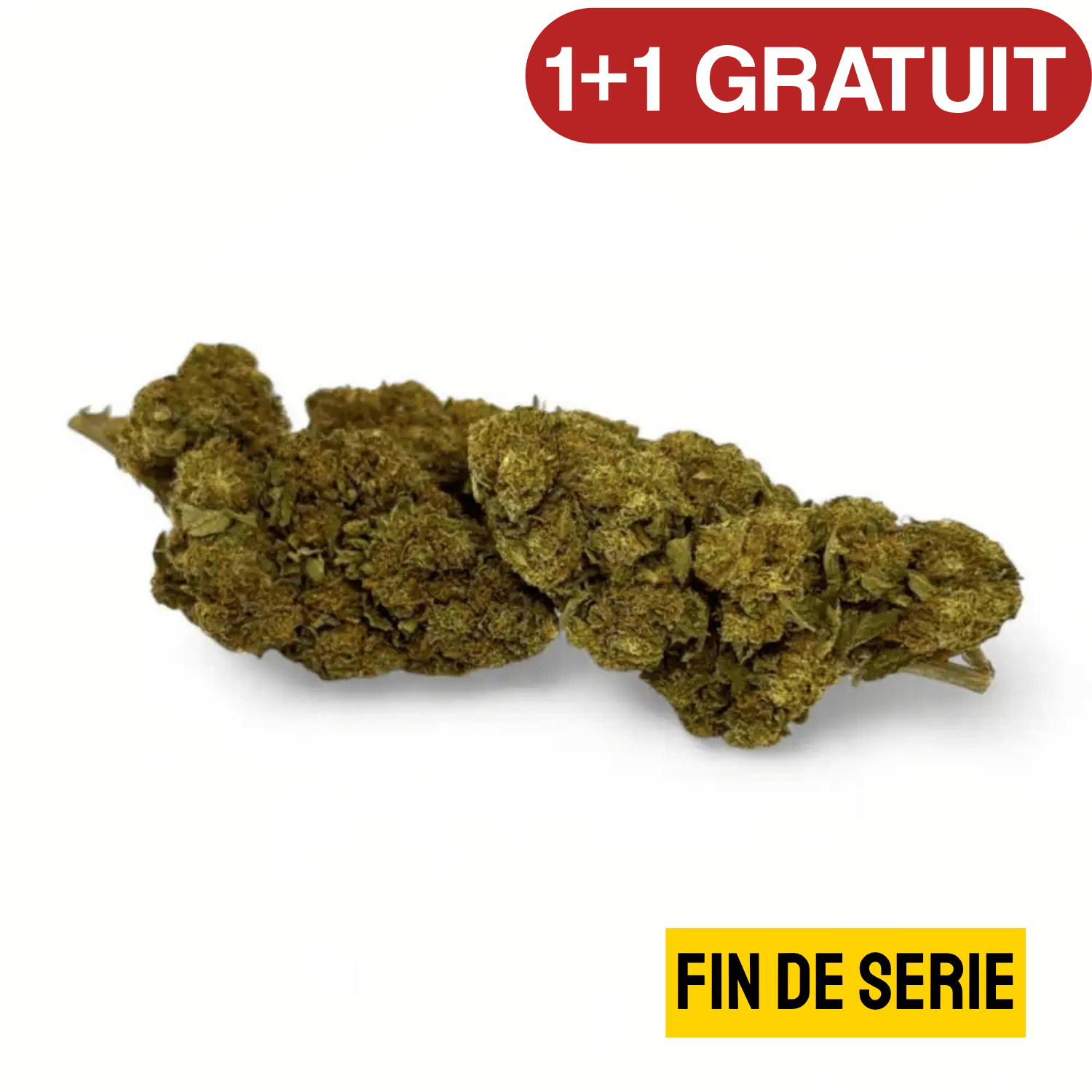 Fleur de CBD Strawberry Haze Greenhouse — vue 4