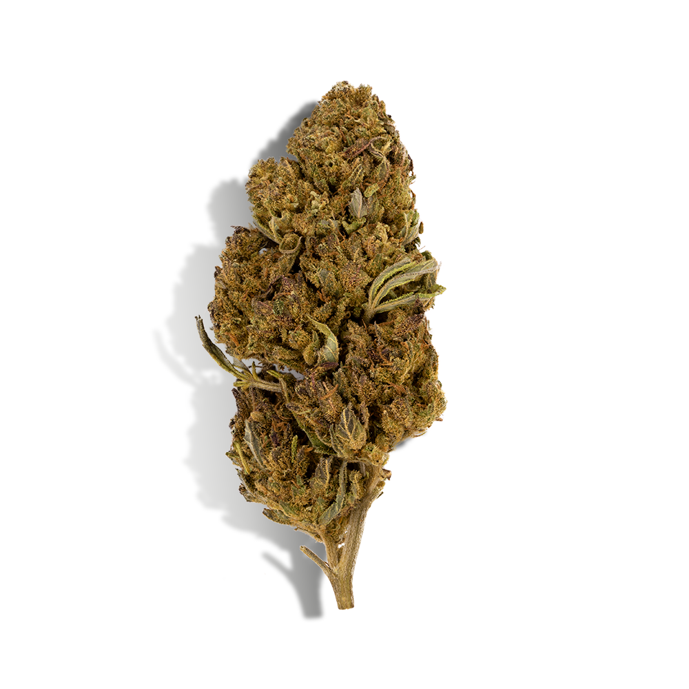 Coffret découverte débutant fleurs CBD — vue 5
