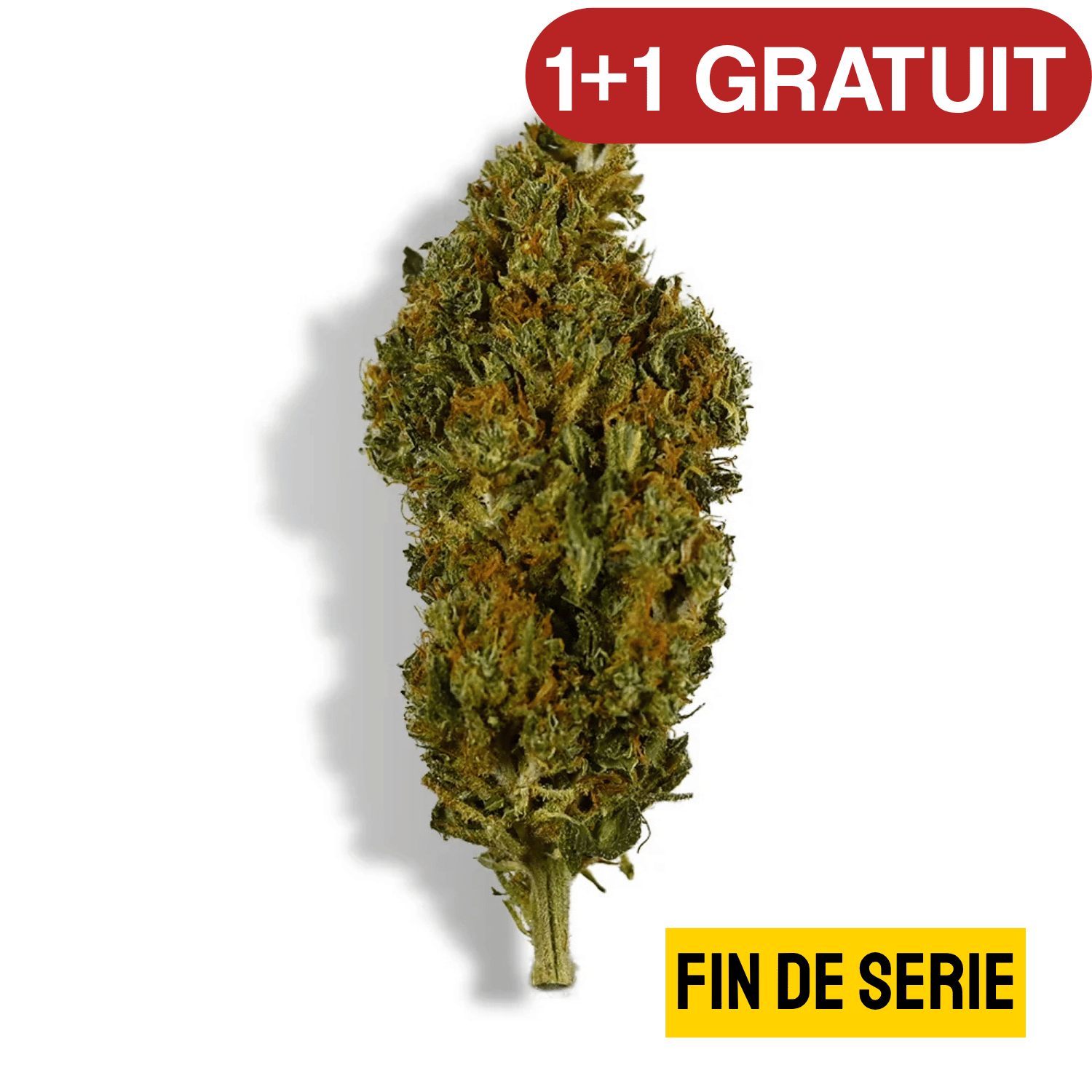 Fleur de CBD Sherbet — vue 3