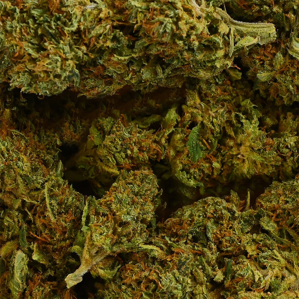 Fleur de CBD Sherbet