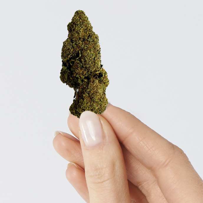 Fleur de CBD Raspberry Haze