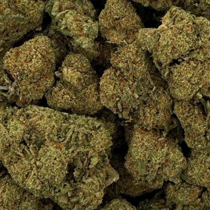 Fleur de CBD Raspberry Haze — vue 2
