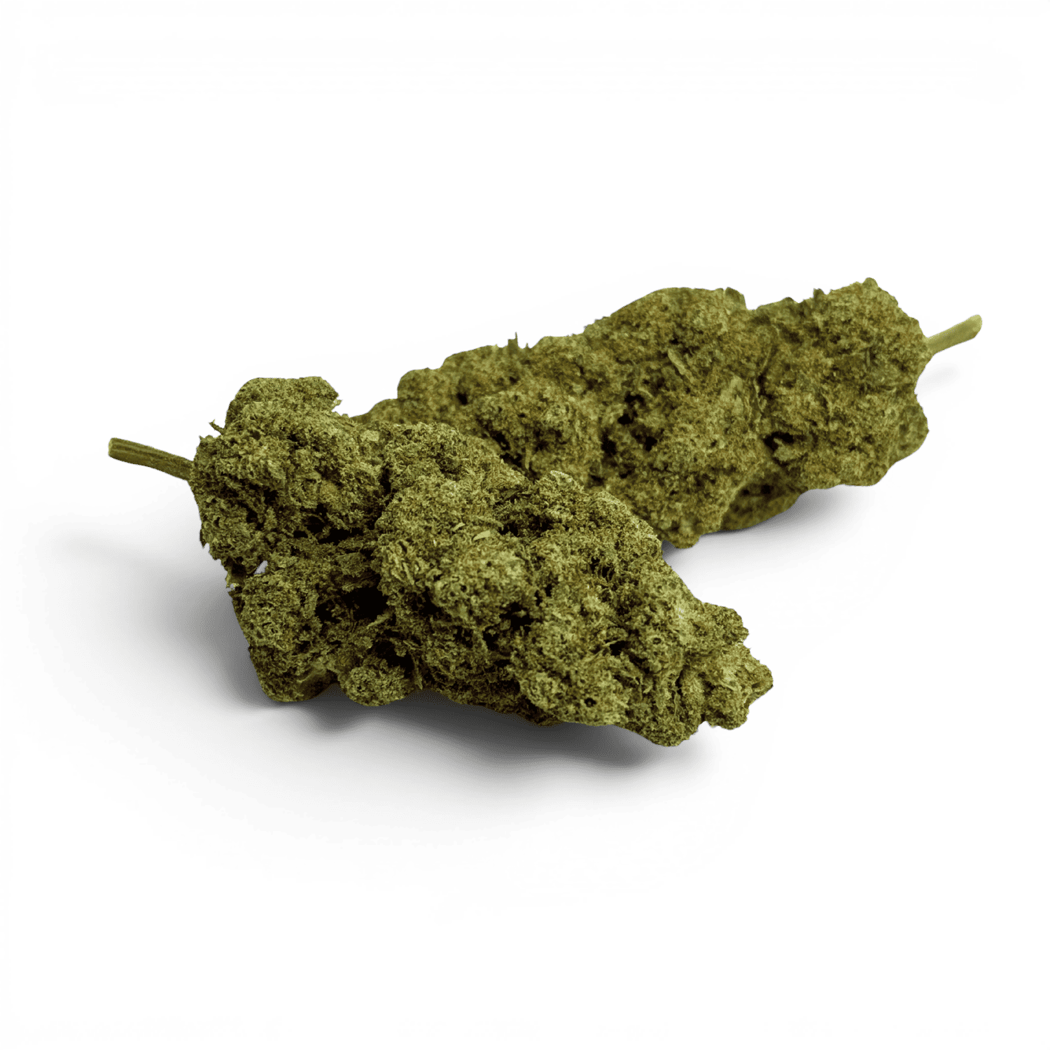 Fleur CBD Gelato Glue Indoor — vue 2