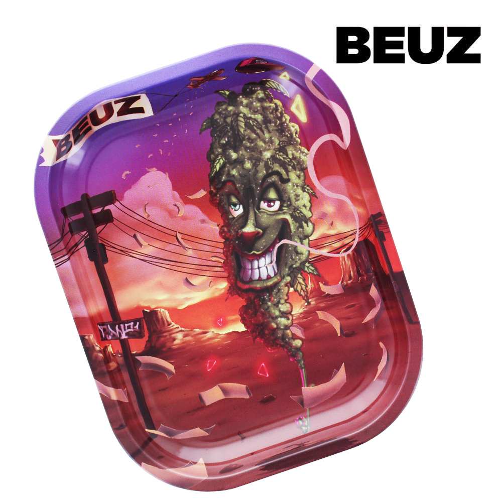 Plateau de roulage Beuz Smiley Valley — vue 2