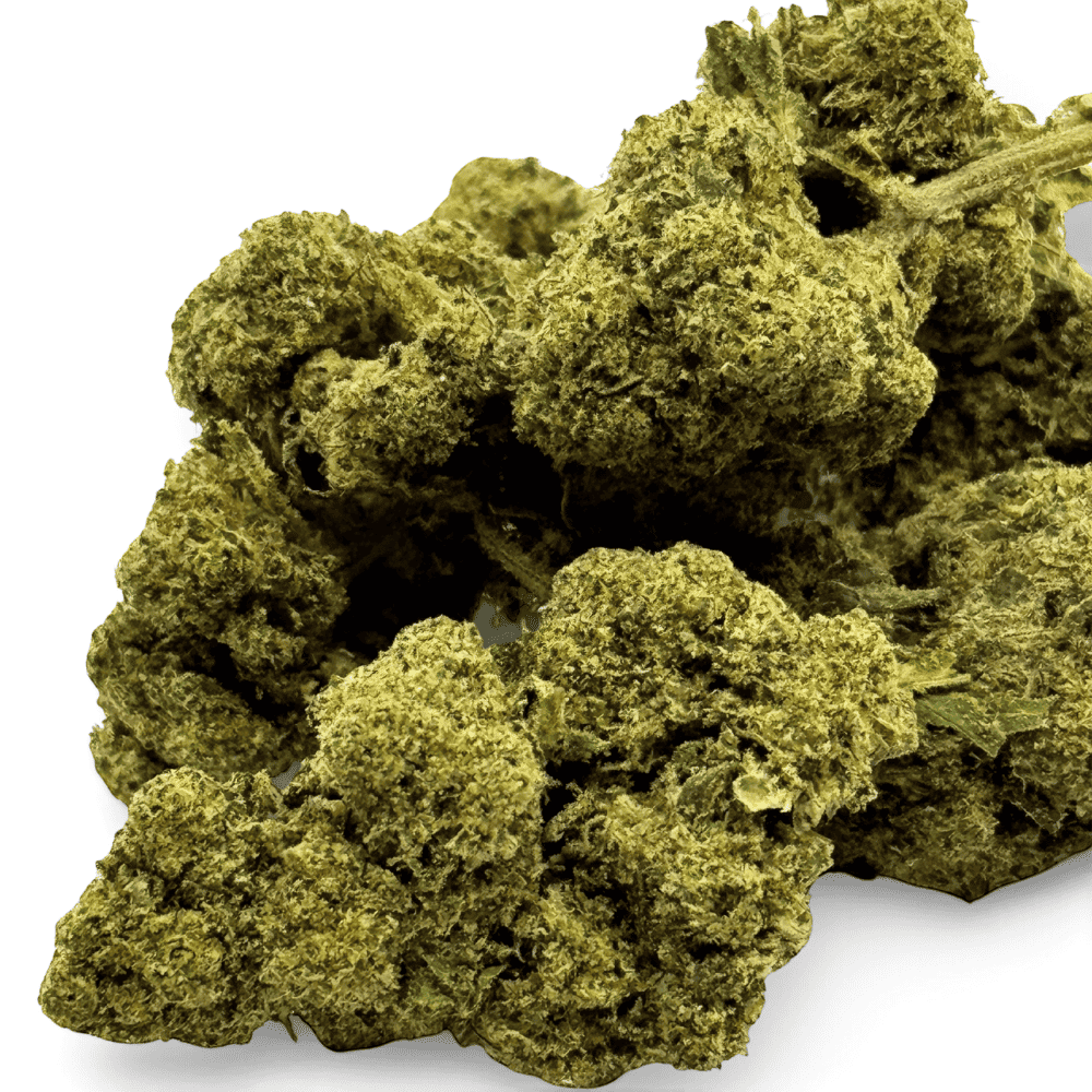 Fleur de CBD Orange Bud Greenhouse