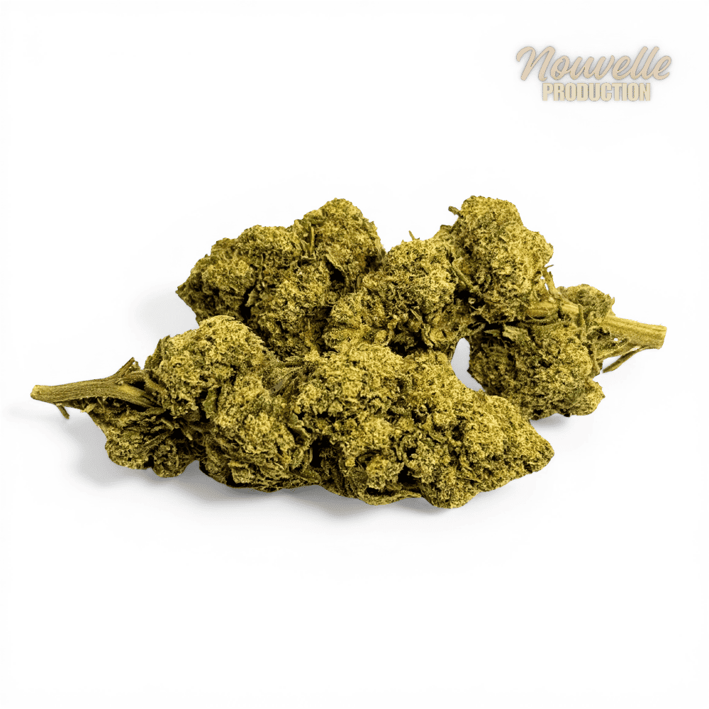 Fleur Tropical Haze 2.0 CBDX (CBD Xtrem) NL-1 12,5% Indoor — vue 3