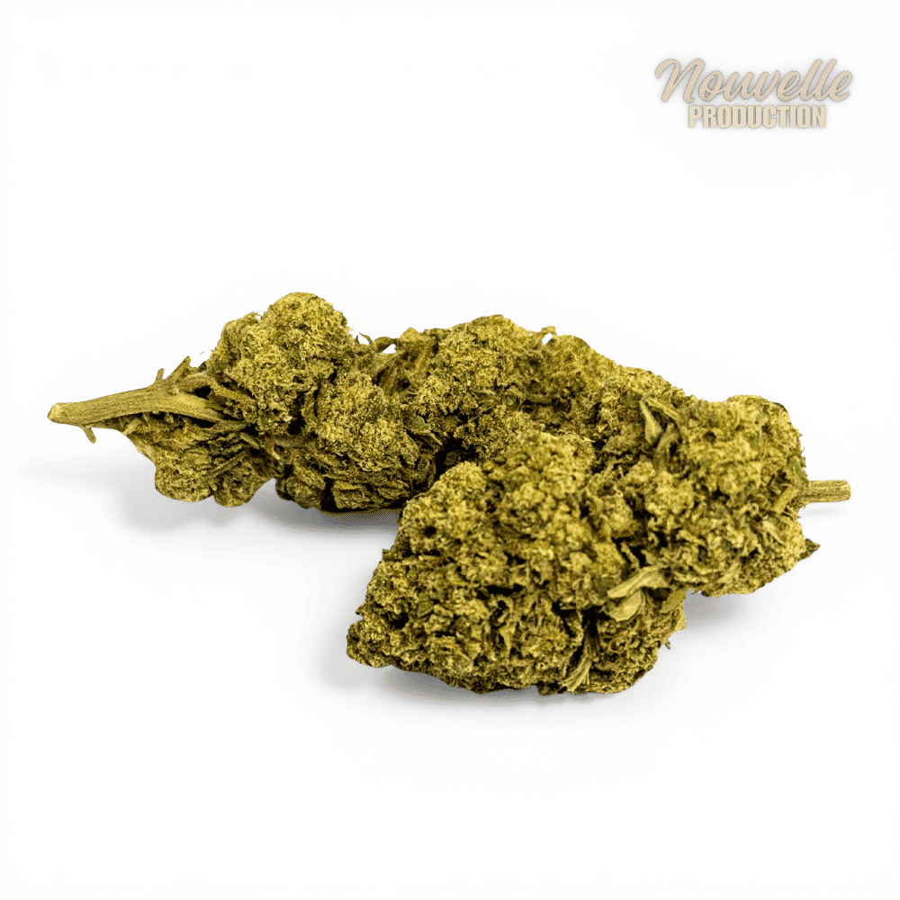 Fleur Tropical Haze 2.0 CBDX (CBD Xtrem) NL-1 12,5% Indoor — vue 2