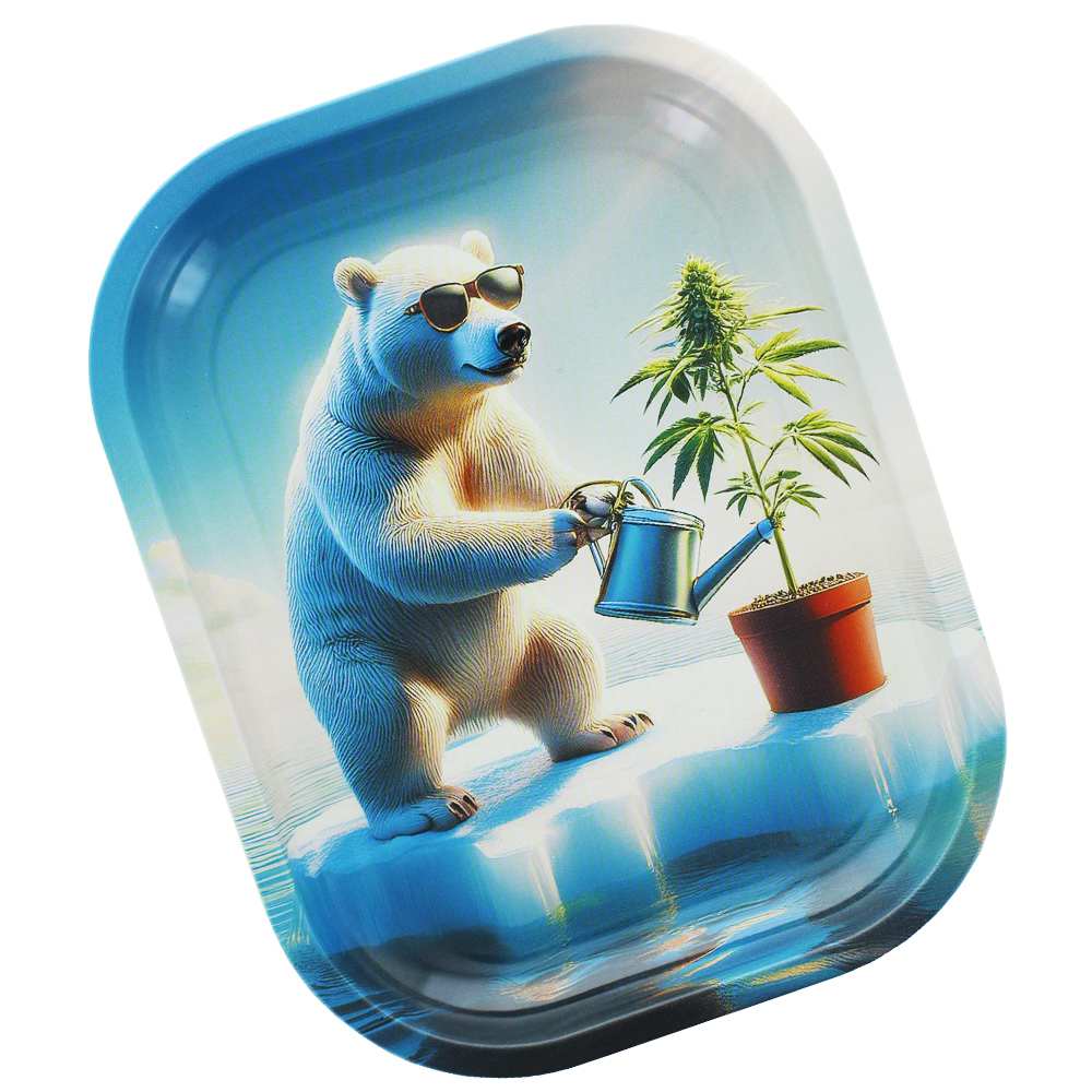 Plateau de roulage Beuz Arctic Grower — vue 2