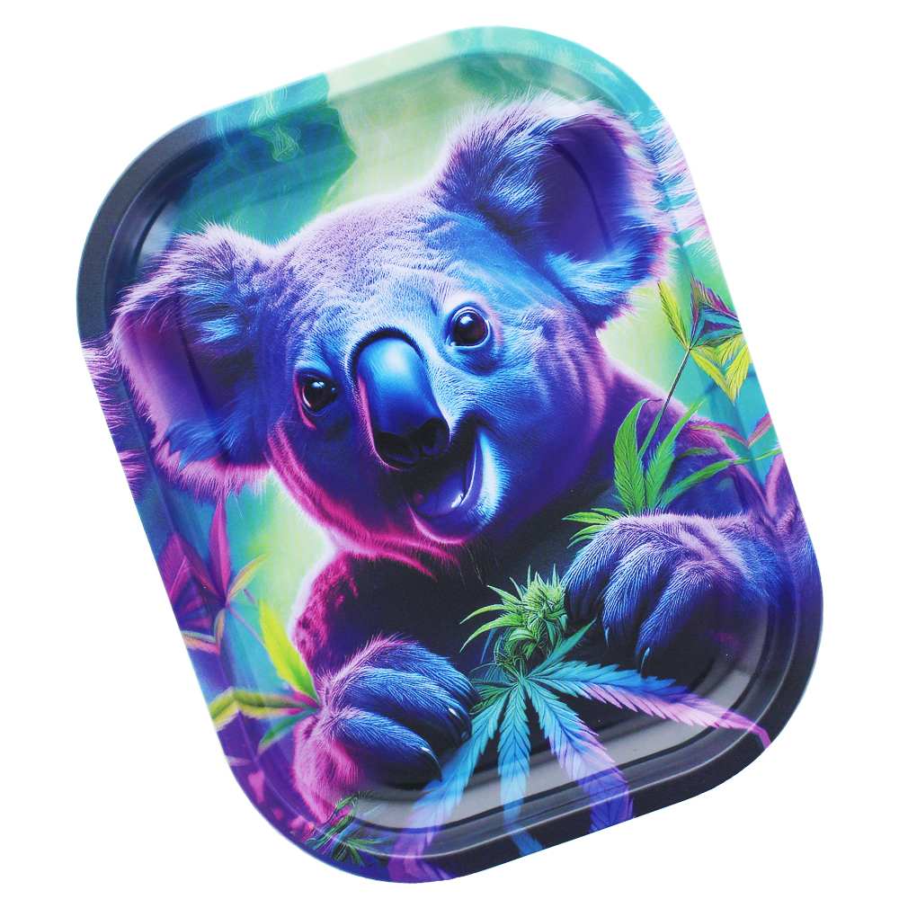 Plateau de roulage Beuz Crazy Koala — vue 2