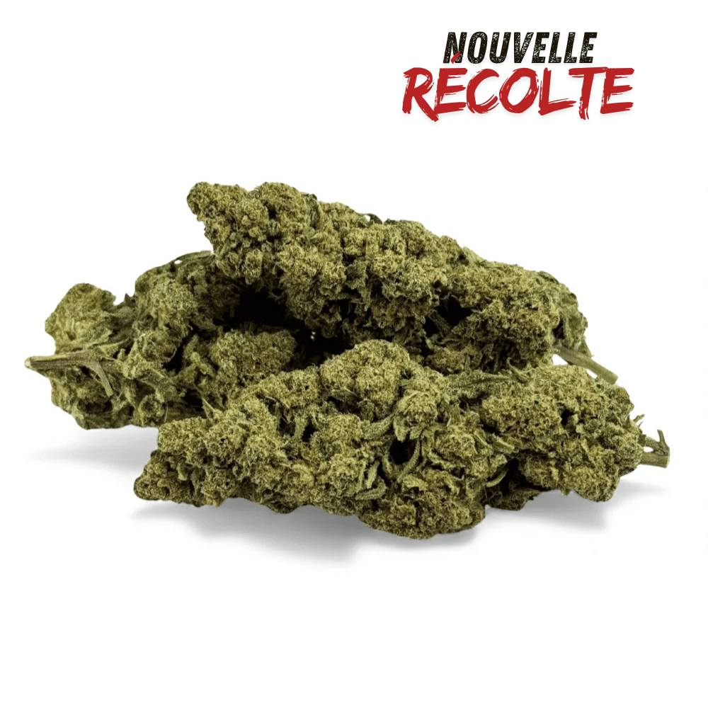Fleur de CBD Super White Frost Greenhouse — vue 4