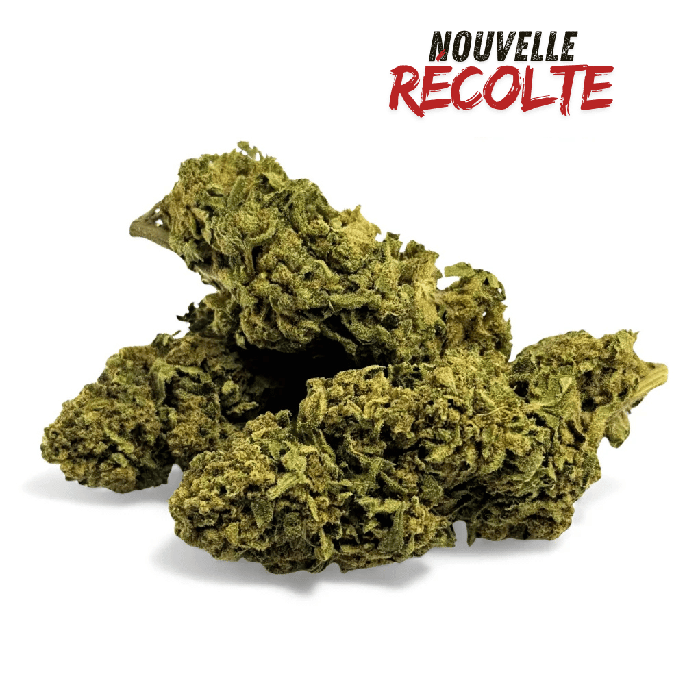 Fleur de CBD Banana Smash Greenhouse — vue 4