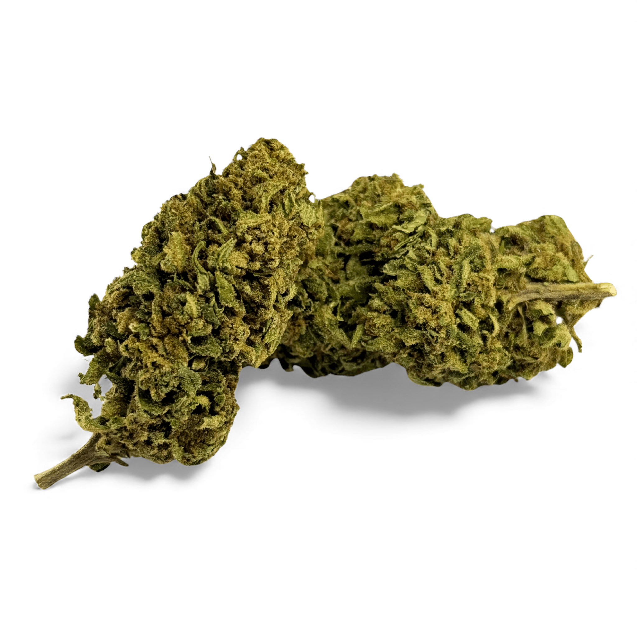 Fleur de CBD Banana Smash Greenhouse — vue 3