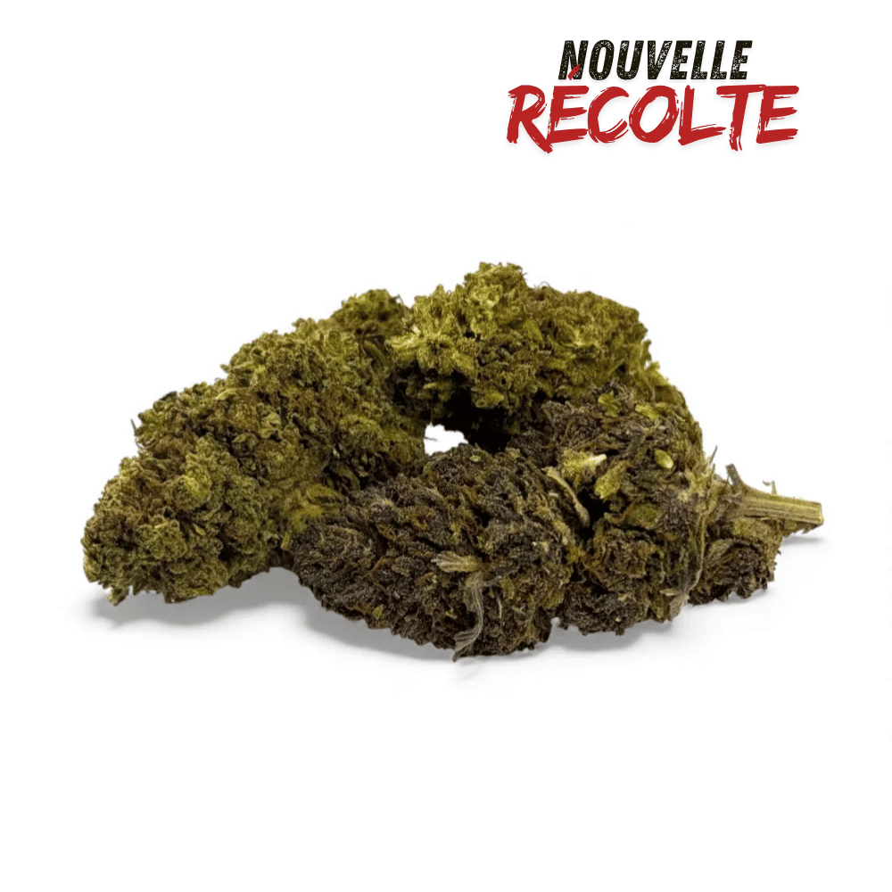 Fleur de CBD Mandarine Haze Greenhouse — vue 5