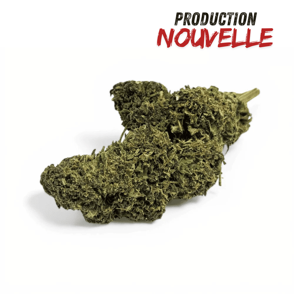 Fleur CBD Saphire Hybride Indoor