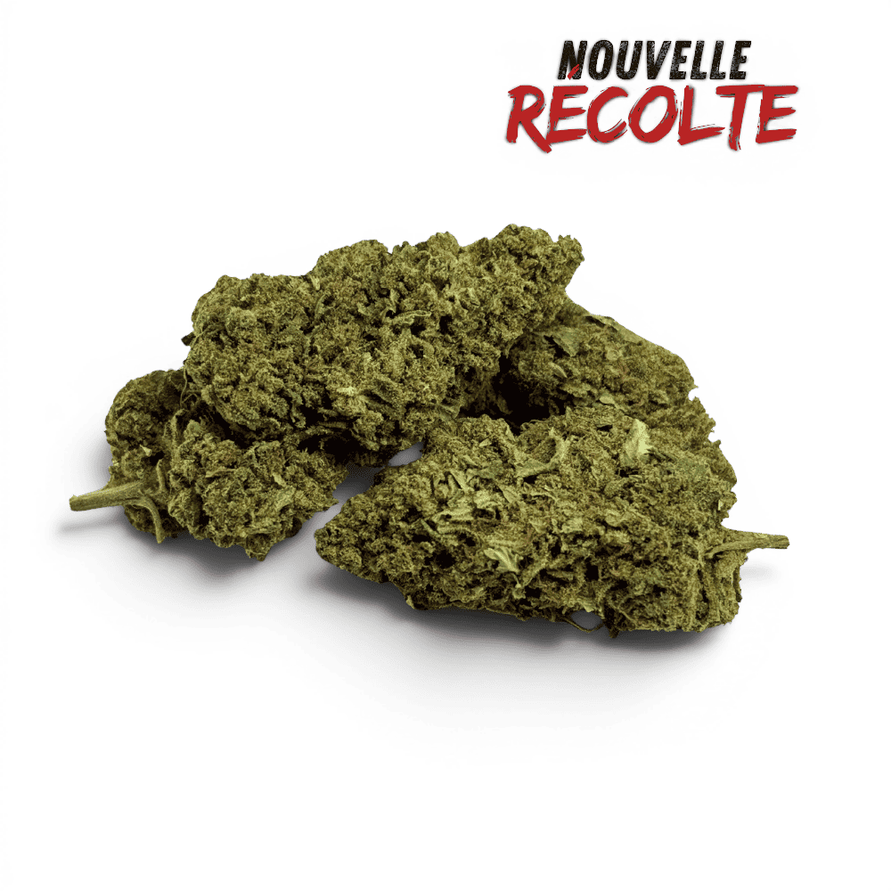 Fleur de CBD Super Silver Haze Indoor — vue 4