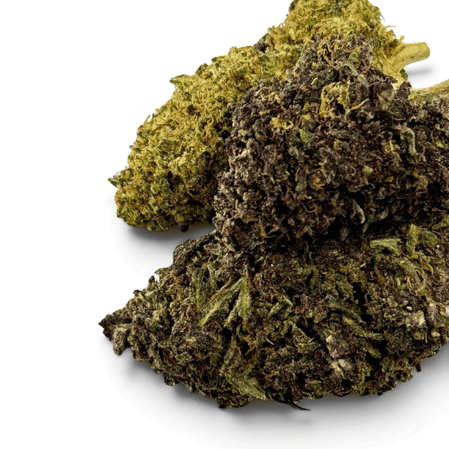 Fleur Purple Haze CBDX (CBD Xtrem) Indoor 20% — vue 2