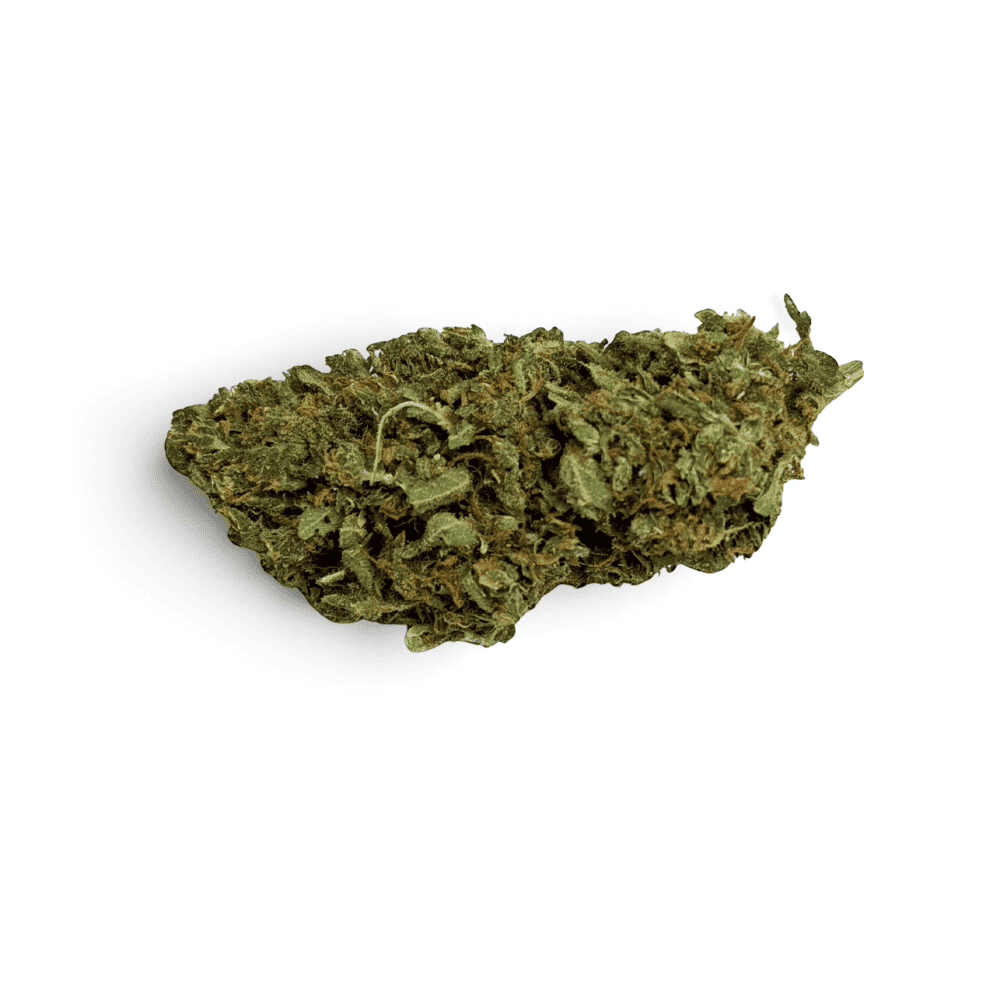 Fleur de CBD Mango Kush Indoor — vue 3